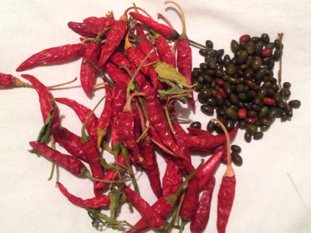 3 Chile