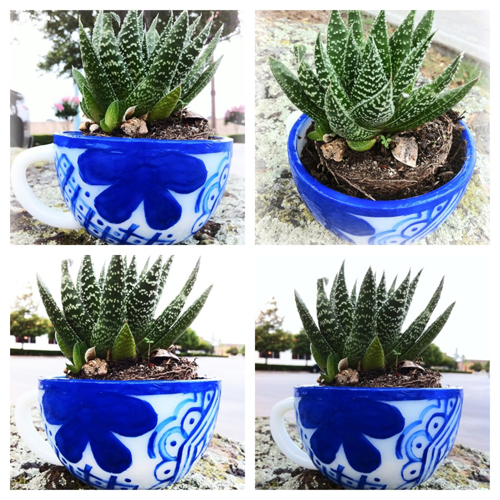 do it yourself mexican talavera pottery do it yourself mexican talavera pottery