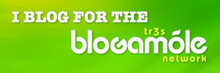 BlogWithIntegrity.com