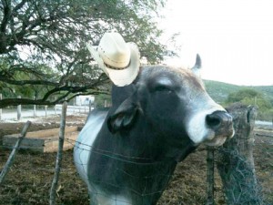 My Rancho Is On YouTube!